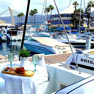 https://barco-pita-puerto-coln.tenerifehoteles.net